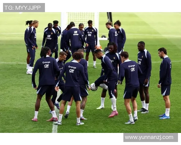 武汉排球队在世界杯预选赛中的拼搏历程与荣耀追寻