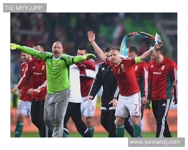 挪威足球明星球员的崛起与成就探讨 挪威足球明星球员的崛起与成就探讨