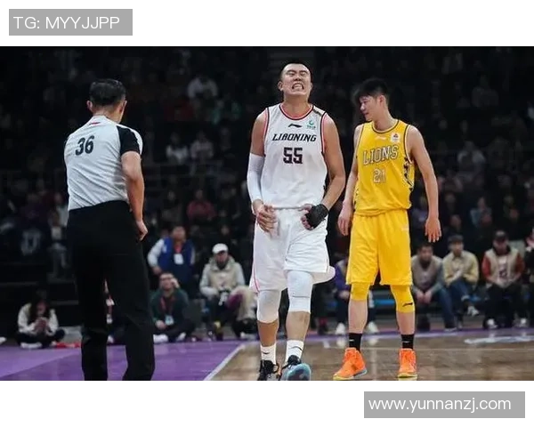 北京排球队灵活性引发热议球迷与专家观点碰撞激烈