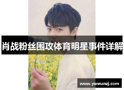 肖战粉丝围攻体育明星事件详解