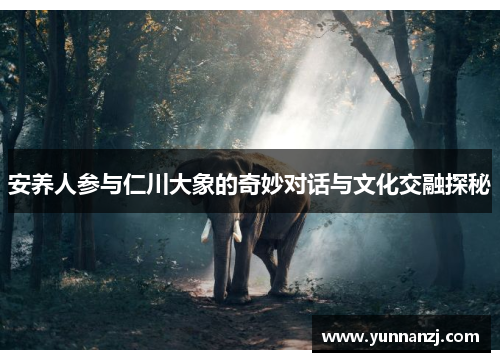 安养人参与仁川大象的奇妙对话与文化交融探秘