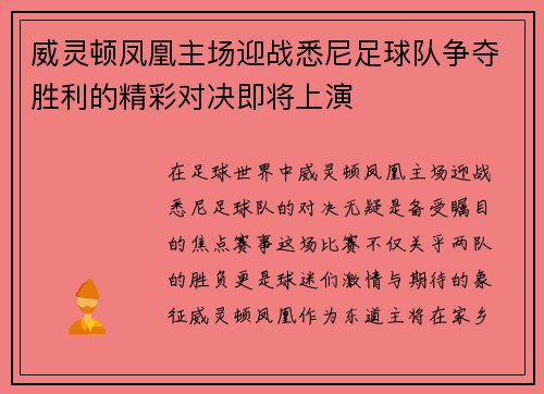 威灵顿凤凰主场迎战悉尼足球队争夺胜利的精彩对决即将上演